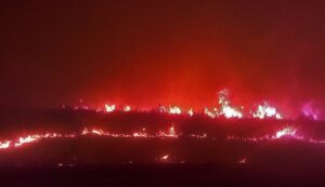 July fire near Diyarbakir, photo from al-monitor.com.